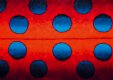Ladybird – Mimicry 1