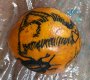 Orange tattoo, Dog and Cat,and Bug, 2017